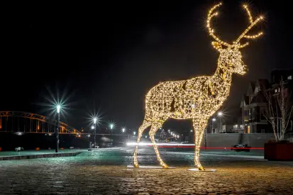 Nijmeegse Winterweken